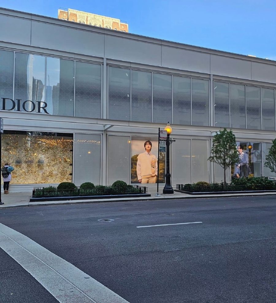 Dior in USA Chicago